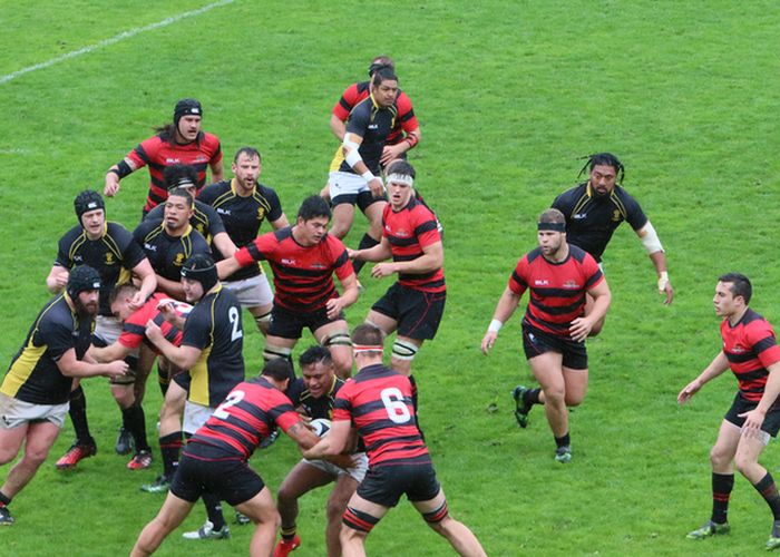 Wellington Pride and Development teams miss out in the rain